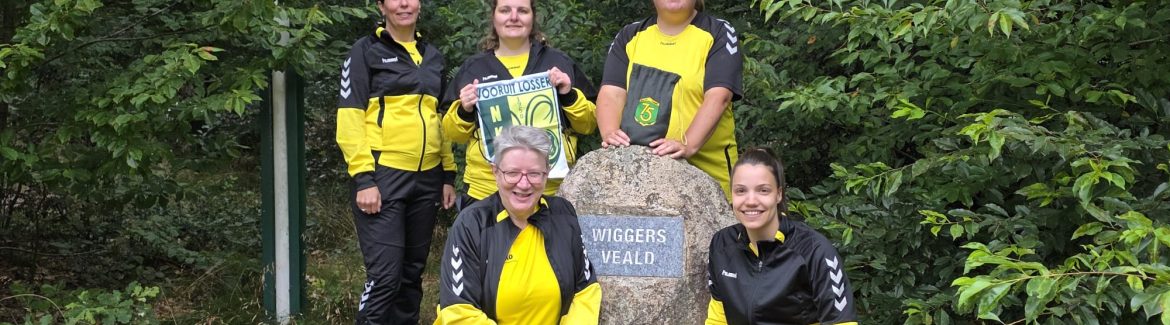 Dames Vooruit Losser kampioen!